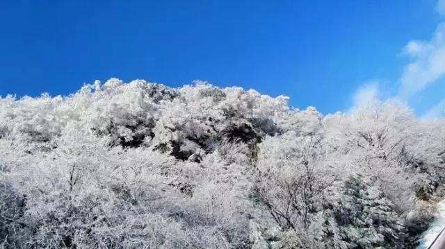 狙击精英4