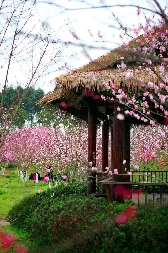 湿疹：重建肌肤屏障，重拾健康肌肤