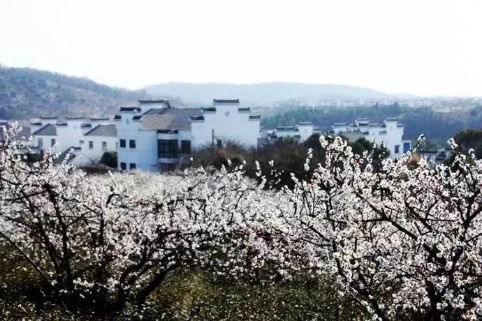 我出轨了还被无赖纠缠怎么办敲诈要三万元？游戏画面