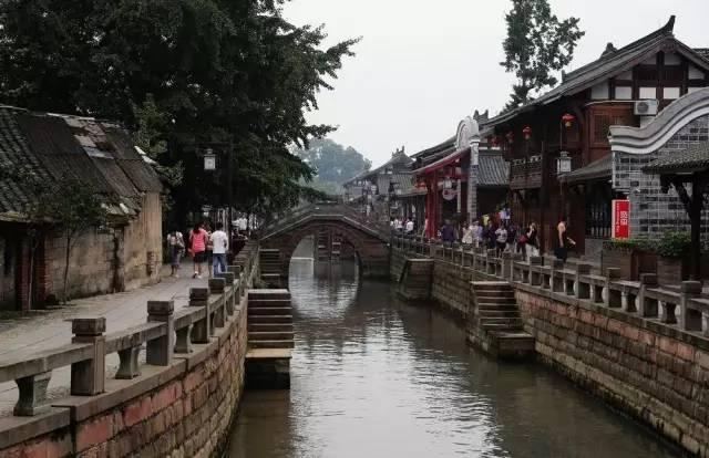 拯救小松鼠