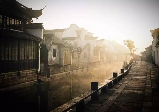 救援受困的长颈鹿