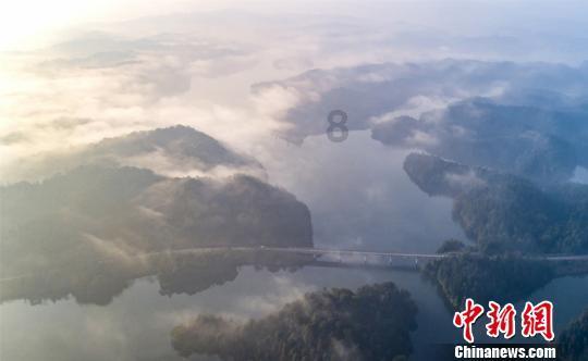 救援受困的小恐龙